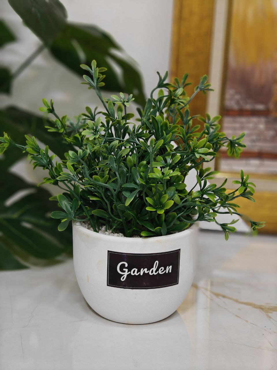 Plante garden