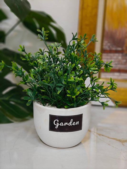 Plante garden