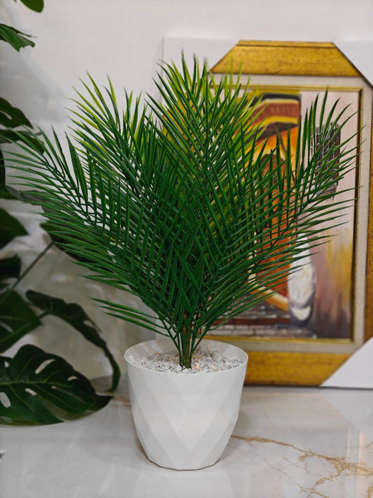 Plante art nv01